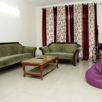 4 BHK Builder Floor For Rent in Sushant Lok ii Gurgaon 6309723