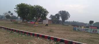  Plot For Resale in Maunda Lucknow 6309855