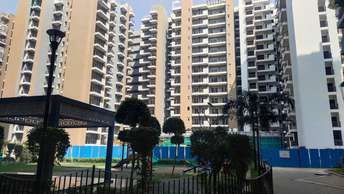 3 BHK Apartment For Rent in Saviour Park Mohan Nagar Ghaziabad 6309944