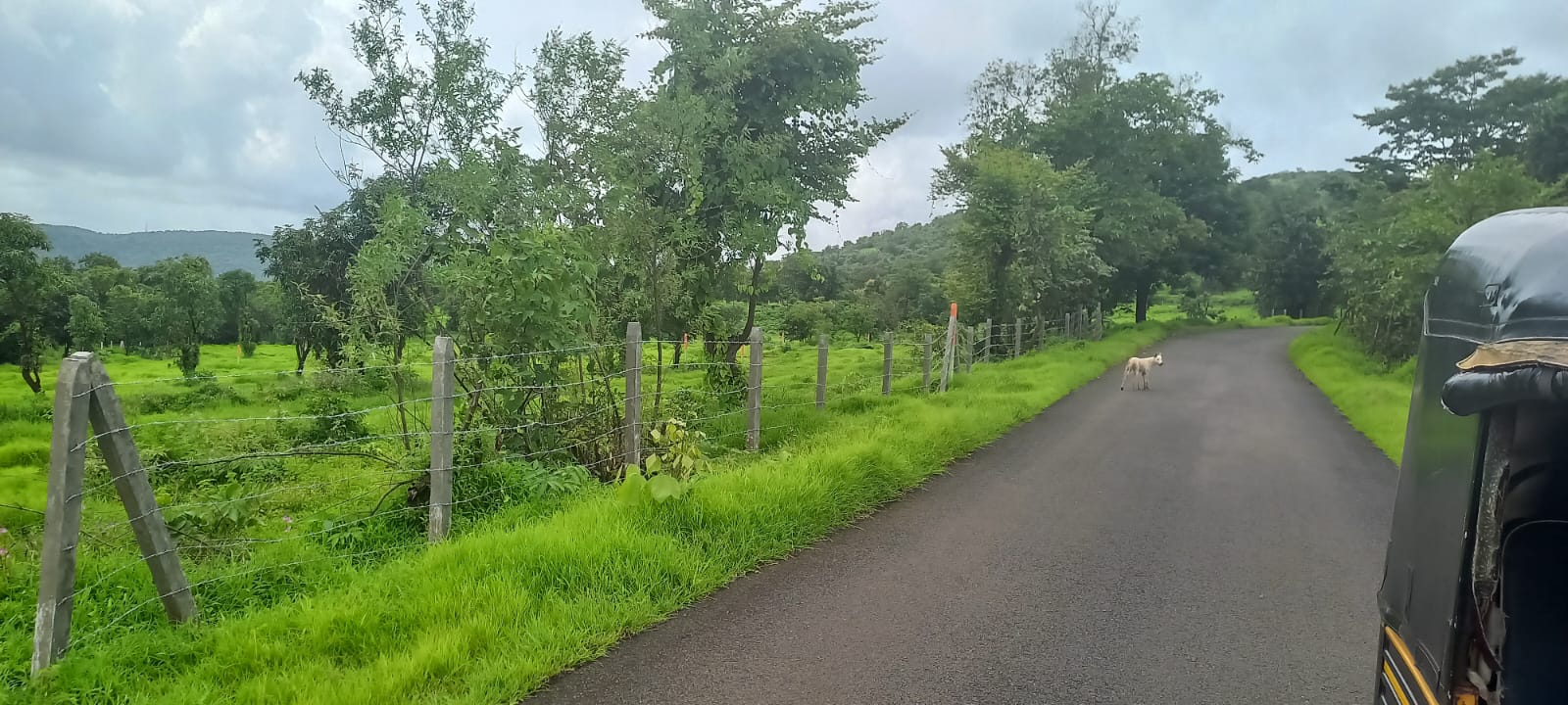 Plot For Resale in Mangaon Raigad  6310223