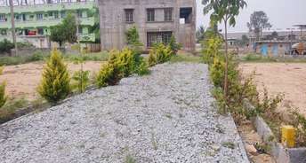  Plot For Resale in Harapanahalli Bangalore 6310426