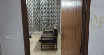 3 BHK Apartment For Rent in Amrapali Golf Homes Sector 4, Greater Noida Greater Noida 6310871