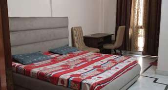 2 BHK Builder Floor For Rent in East of Kailash A Block RWA East Of Kailash Delhi 6311032