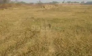 Commercial Land 5 Acre For Resale In Ballabhgarh Sector 2 Faridabad 6312311