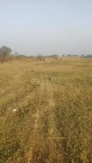 Commercial Land 5 Acre in Ballabhgarh Sector 2 Faridabad