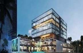 Commercial Shop 250 Sq.Ft. For Resale In Sector 109 Gurgaon 6312357