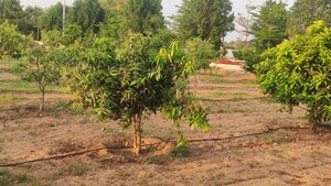  Plot – Exterior View View at Tukkuguda - for Sale