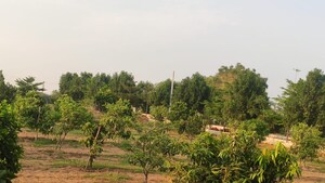  Plot For Sale in Tukkuguda