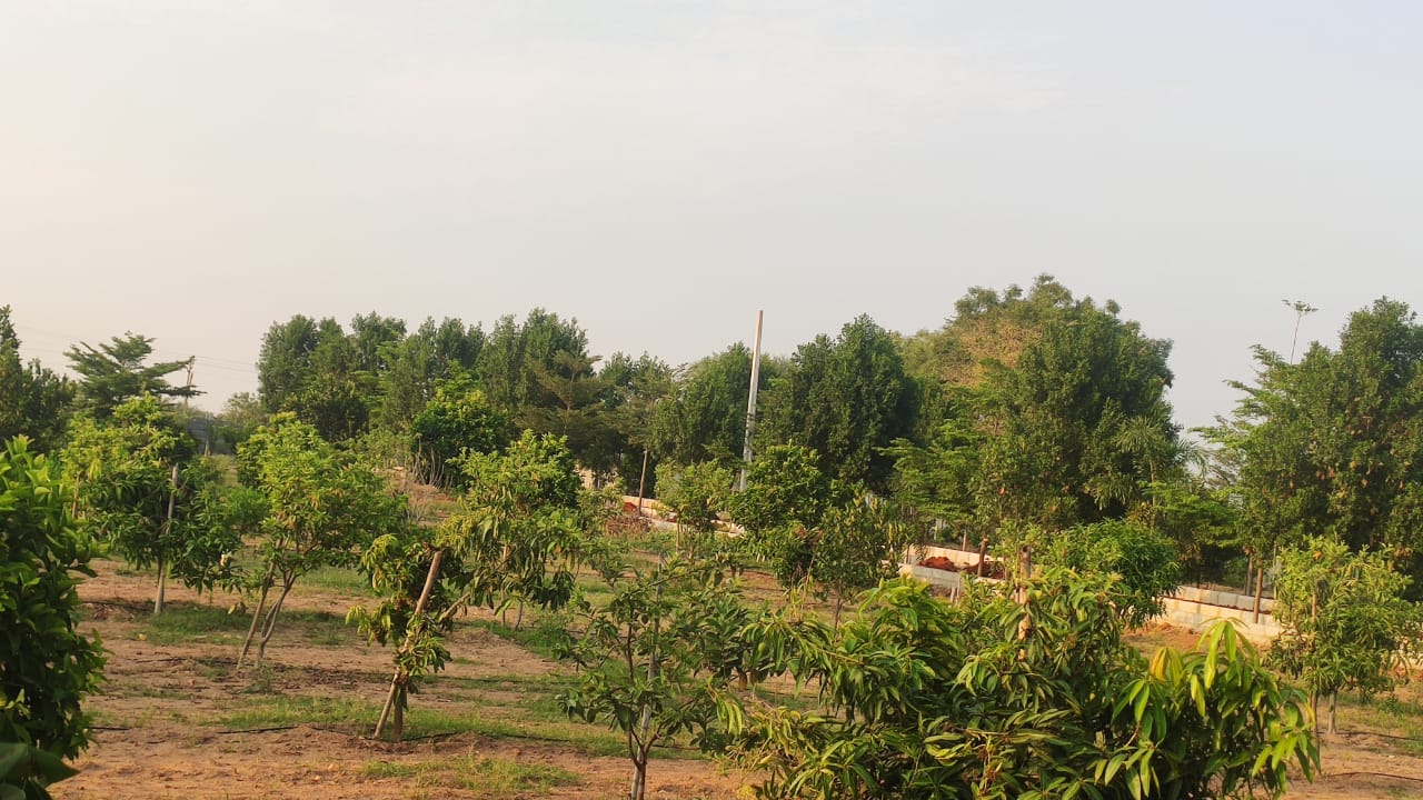 Plot For Sale in Tukkuguda