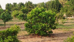  Plot – Exterior View View at Tukkuguda - for Sale