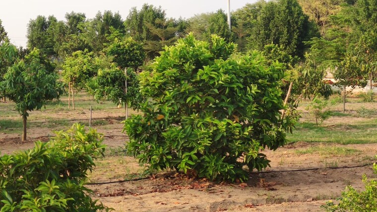 Exterior View, tukkuguda  2178 Sq.Ft. Plot In Tukkuguda Hyderabad 6309737