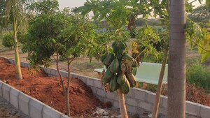  Plot – Exterior View View at Tukkuguda - for Sale