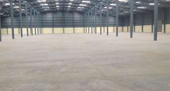 Commercial Warehouse 15000 Sq.Yd. For Rent In Pahari Patna 6312753