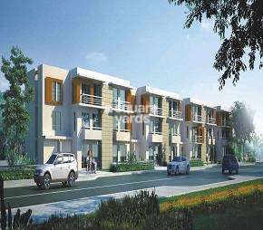 3 BHK Builder Floor For Rent in Unitech Singleton Floors South City Sector 50 Gurgaon 6313159