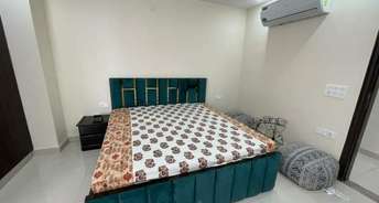 1 BHK Apartment For Rent in Sugam Morya Tollygunge Kolkata 6313218