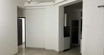 2 BHK Apartment For Rent in Sector 10 Greater Noida 6313302