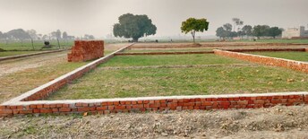 Plot For Resale in Mohanlalganj Lucknow  6313537