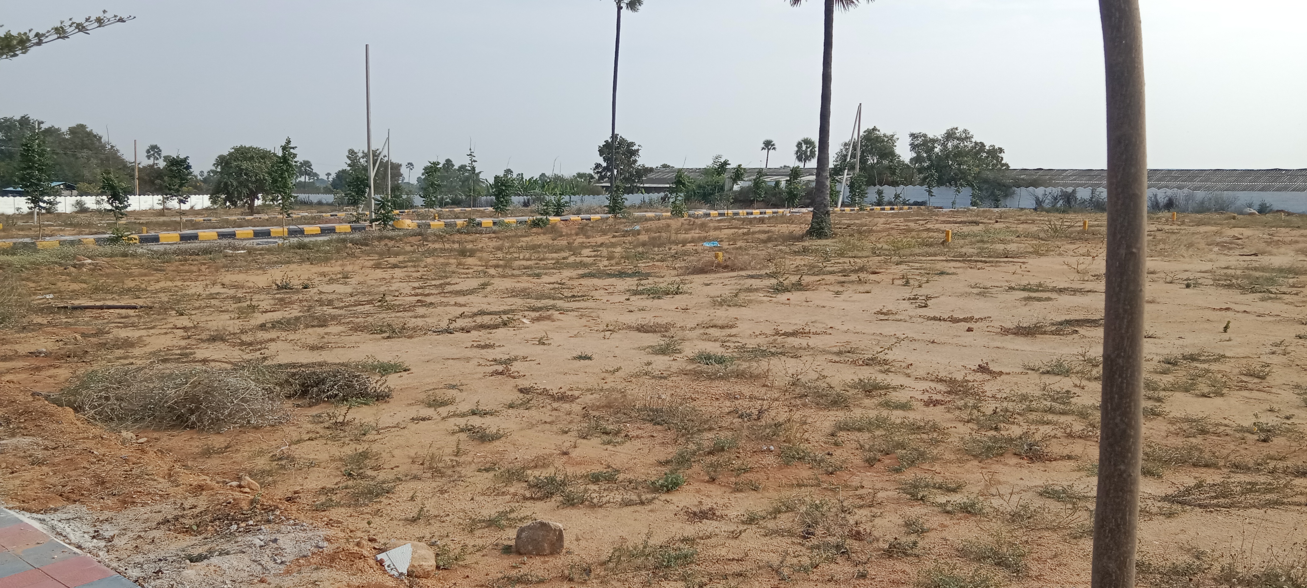 Resale 160 Sq.Yd. Plot in Almasguda Hyderabad 7231268