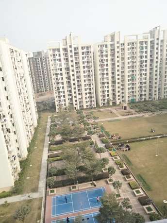 2 BHK Apartment For Rent in Unitech The Residences Gurgaon Sector 33 Gurgaon 6313804