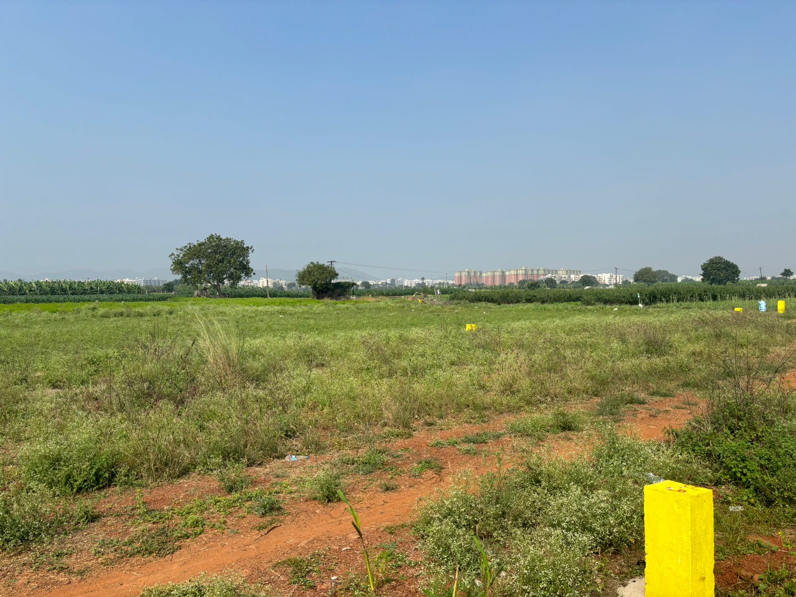 Plot For Resale in Kunchanapalli Vijayawada  6313951