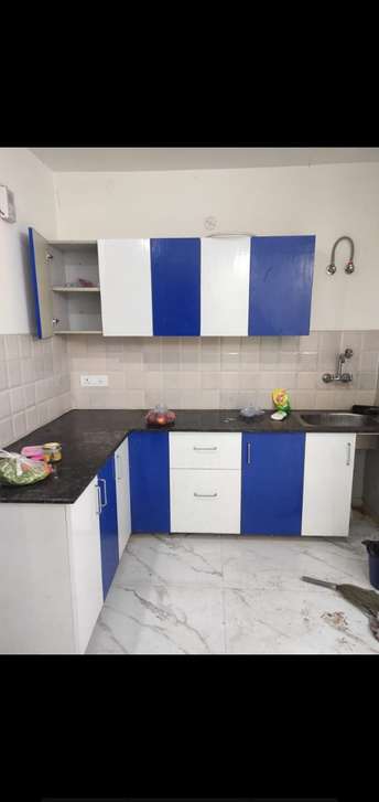 1 BHK Builder Floor For Rent in Saket Residents Welfare Association Saket Delhi 6313996