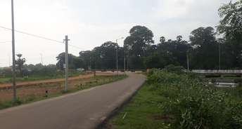 Commercial Land 1305 Sq.Ft. For Resale In Palayamkottai Tirunelveli 6314136