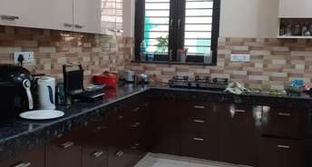 3.5 BHK Builder Floor For Rent in Sector 29 Faridabad 6314281