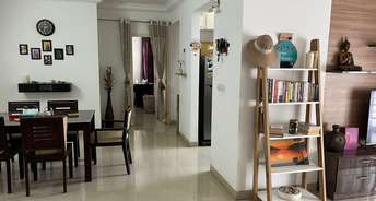2 BHK Apartment For Rent in Salarpuria Sattva Senorita Sarjapur Road Bangalore 6314327