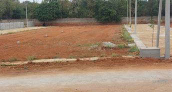  Plot For Resale in Ms Palya Bangalore 6315027