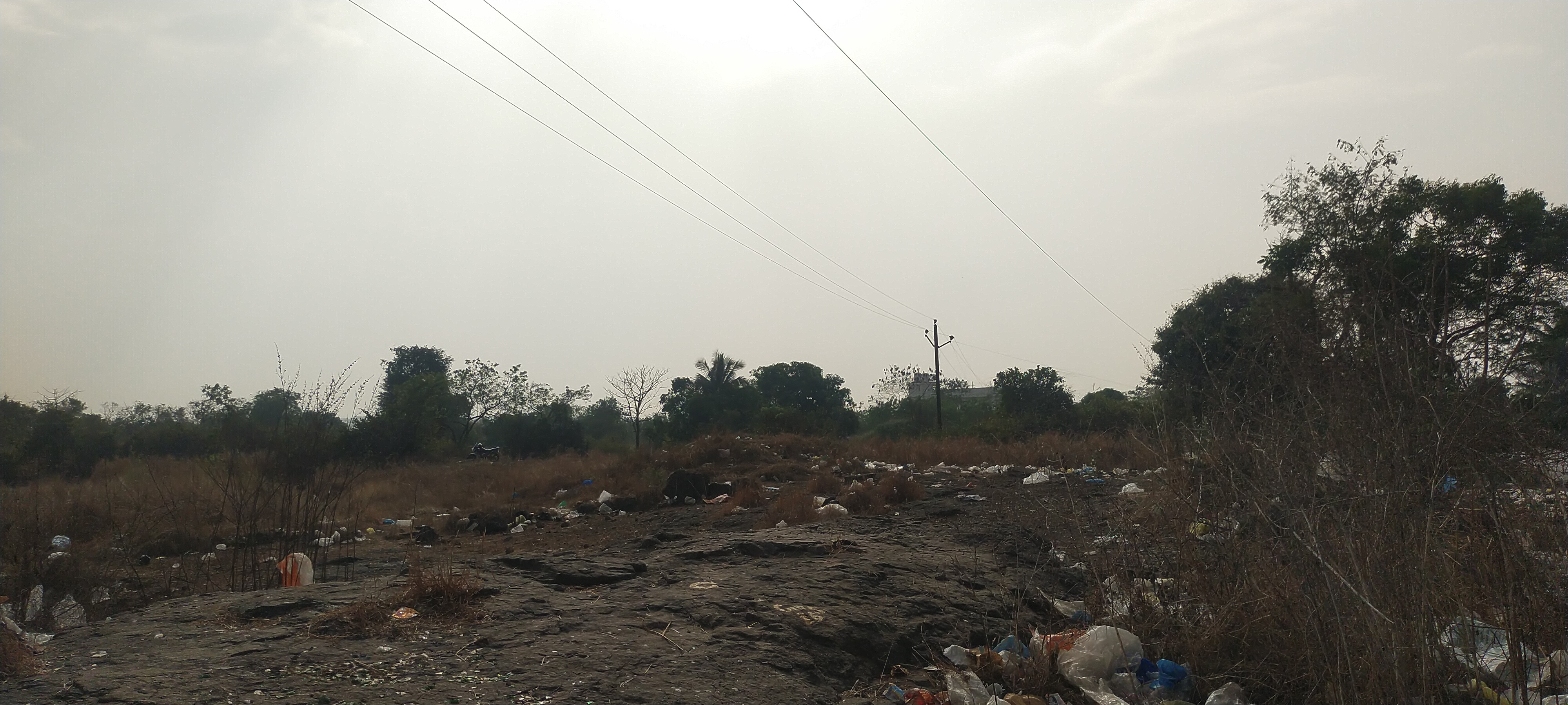 Commercial Land 25 Acre For Resale in Chirner Navi Mumbai  6315175