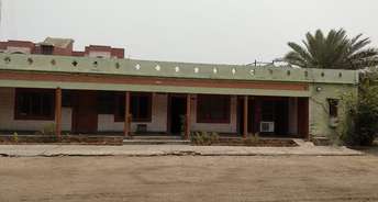 Commercial Warehouse 30000 Sq.Ft. For Rent In NH 10 Bahadurgarh 6315130