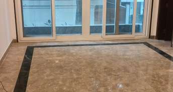 4 BHK Builder Floor For Rent in Geetanjali Enclave Delhi 6316019