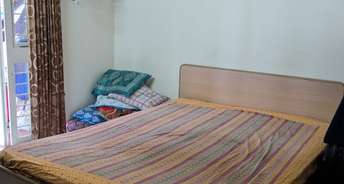 2 BHK Apartment For Rent in Rama Air Castle Hinjewadi Pune 6316001