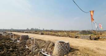  Plot For Resale in Sector 7 Panchkula 6316031