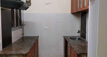 3 BHK Independent House For Rent in Sector 46 Noida 6316652