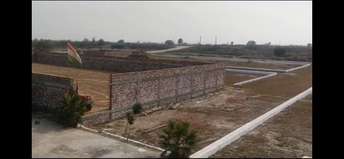 Commercial Warehouse 824 Sq.Yd. For Resale In Jewar Greater Noida 6317858