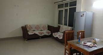 3 BHK Apartment For Rent in Today Ridge Residency Sector 135 Noida 6317949