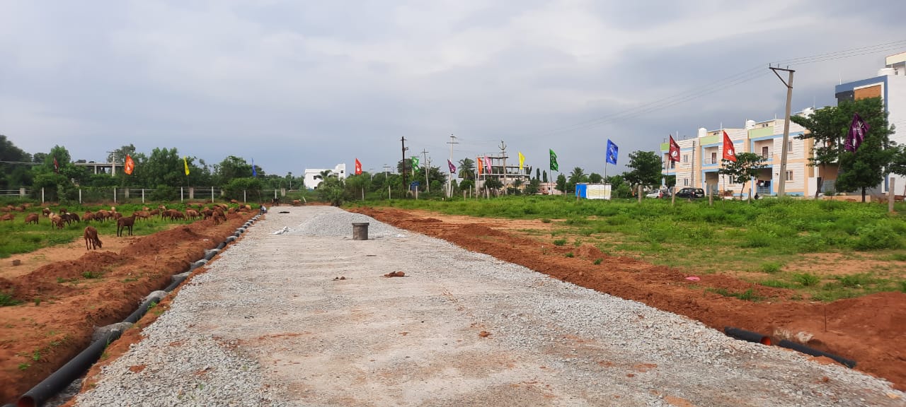 Plot For Resale in Medchal Hyderabad  6318905