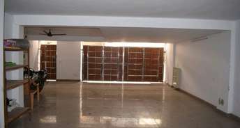 2.5 BHK Builder Floor For Rent in East Punjabi Bagh Delhi 6319134