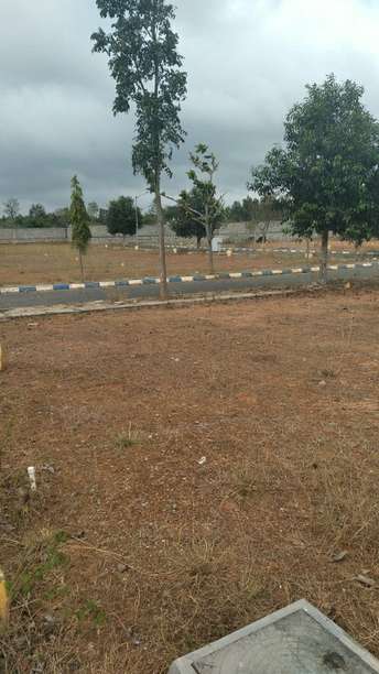  Plot For Resale in Bannerghatta Road Bangalore 6319214