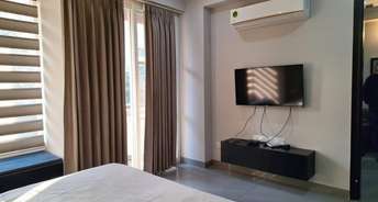 1 BHK Apartment For Rent in Ajmera Infinity Electronic City Phase I Bangalore 6319351