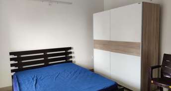 4 BHK Apartment For Rent in AWHO Shanti Vihar Sector 95 Gurgaon 6319459