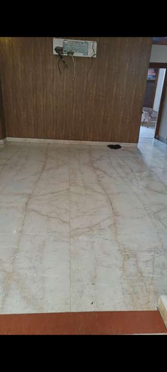 3 BHK Builder Floor For Rent in Preet Vihar Delhi 6319927