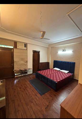 3 BHK Builder Floor For Rent in Shivalik A Block Malviya Nagar Delhi 6319953