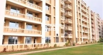 2 BHK Apartment For Rent in Orbit Apartments Lohgarh Zirakpur 6320526