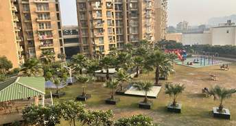 3 BHK Apartment For Rent in Noida Ext Sector 2 Greater Noida 6320898