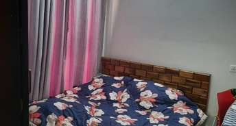 1 BHK Apartment For Resale in Sector 82 Faridabad 6320978