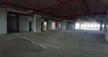 Commercial Office Space 16600 Sq.Ft. For Rent In Off Hebbal Ring Road Bangalore 6321492