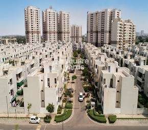 2 BHK Apartment For Rent in Vatika India Next Floors Sector 82 Gurgaon 6321648