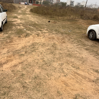 Commercial Land 90 Sq.Yd. For Resale In Sector 2 Bahadurgarh 6322482